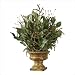 Berry Branches In Tuscan Urn