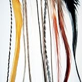 Natural Beauty - Feather Hair Extension