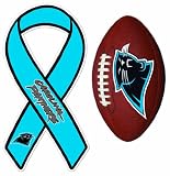 NFL North Carolina Panthers Magnet Set