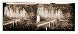 Civil War Photo (M): (Churchyard with graves)