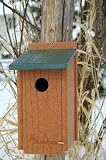Going Green Bluebird House