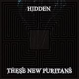 Hidden [VINYL]