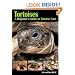 Tortoises: A Beginner's Guide to Tortoise Care