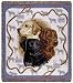 Labrador Retriever Dogs Deluxe Mid-Size Tapestry Blanket Throw
