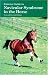 Concise Guide to Navicular Syndrome in the Horse (Concise Guide series)