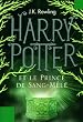 Harry Potter et le Prince de Sang-Mêlé (Tome 6) (French Edition)