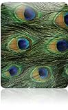 Skinit Protective Skin (Fits Latest Apple iPad); Peacock