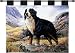 Bernese Mountain Dog Wall Hanging - 26 x 34 Wall Hanging