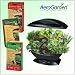 AeroGrow AeroGarden Garden Kit, Black + 3 Additional Seed Kits (Gourmet Herb, Cherry Tomato, & Salad Bar Mesclun Mix)