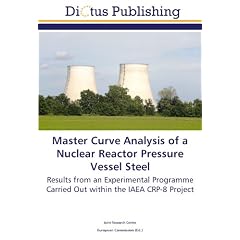 Master Curve Analysis of a Nuclear Reactor Pressure Vessel Steel: Results from an Experimental Programme Carried Out within the IAEA CRP-8 Project