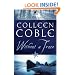 Without a Trace: A Rock Harbor Novel