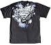 Search : Superman Icy Chains Logo DC Comics Gray T-shirt