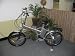 Lightning Bug Electric Bicycle