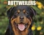 Just Rottweilers