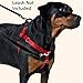 Freedom No-Pull Harness ONLY, Large Red