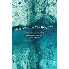 The Itchy Sea (Salt Modern Poets)