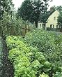 Garden, Old Salem, North Carolina Photograph - Beautiful 16x20-inch Photographic Print by Carol M. Highsmith