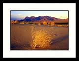 Great American Picture IS809012 Mojave National Preserve, Kelso Sand Dunes Framed Photograph - David