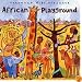 African Playground