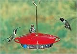 Aspects 153 Mini Hummzinger Hummingbird Feeder, 8-Ounce