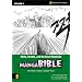 Walls, Brawls, and the Great Rebellion: Numbers-Ruth: Walls, Brawls, and the Great Rebellion - Numbers-Joshua-Judges-Ruth v. 2 (Z Graphic Novels)