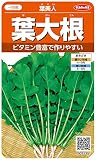 サカタのタネ 実咲野菜5130 葉大根 葉美人 00925130