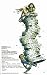 A Funny Thing Happened on the Way to the Forum (Broadway) 11x17 Poster