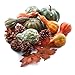 Faux Autumn Gourds, Polysilk Leaves and Natural Pinecones - Fall Decorating Kit
