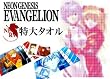 【即納】超豪華2点セット販売★希少セット★エヴァンゲリヲン巨大タオルケットアスカ&レイキャラバッグ付き【タオル/バスタオル/エヴァンゲリヲン】