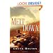 Meltdown (Task Force Valor Series #3)
