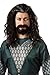 Rubie's Costume The Hobbit Thorin Hair Kit