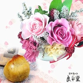 �v���U�[�u�h�t�����[�Ƙa�I�́@�ČI����Ƃ�U�Z�b�g�@��̓��M�t�g�@��������