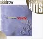 40 SEASONS - THE BEST OF SKID ROW
