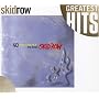 40 SEASONS - THE BEST OF SKID ROW