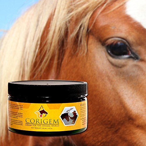 4 oz. Corigem Balm Pet Wound, Itch, and Infection Skin Care Great