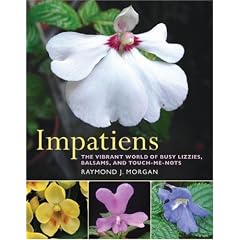 Impatiens: The Vibrant World of Busy Lizzies, Balsams, and Touch-me-nots