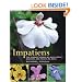 Impatiens: The Vibrant World of Busy Lizzies, Balsams, and Touch-me-nots