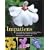 Impatiens: The Vibrant World of Busy Lizzies, Balsams, and Touch-me-nots