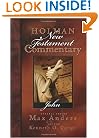 Holman New Testament Commentary - John