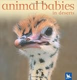Animal babies in deserts