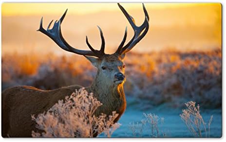 Large Table Mats red deer stock image Image 36361410 by MSD Customized Large Tablemats Stain Resistance Collector Kit Kitchen Table Top DeskDrink Customized Stain Resistance Collector Kit Kitchen Table Top Desk