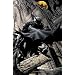 Batman: Time and the Batman