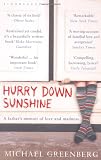 Cover of Hurry Down Sunshine by Michael Greenberg 1408800799