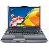 Toshiba Satellite P305-S8910 17.0-Inch Laptop