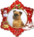 Brussels Griffon