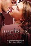 Produkt-Bild: (Spirit Bound) By Mead, Richelle (Author) Paperback on 22-Feb-2011