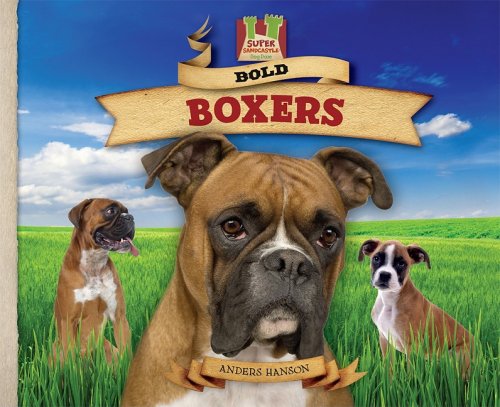 Bold Boxers (Dog Daze)