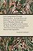 Lyric Composition Through Improvisation - An Exposition and Synthetic Use of the Fundamental Laws of Rhythm, Melody and Harmony as Applied to the ... Training in Formal Musical Self-Expression