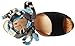 Luichiny Women's Hot Springs Platform Sandal