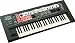 Roland SH-201 49-Key Music Keyboard Synthesizer
